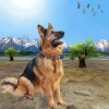 Shepherd Dog Simulator 3D-Offline Wild Animal Game Версия: 1