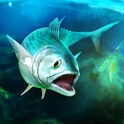 TAP SPORTS Fishing Game Версия: 6.0.1