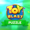 Toy Blash Puzzle