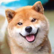 Akita Dog Simulator Версия: 1.0.1