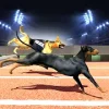 Dog Racing Action Game