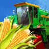 Corn Crusher Версия: 1.0.0