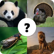 Animals Quiz Версия: 1.2.2