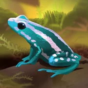 Pocket Frogs Версия: 3.6.14