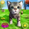 Pet Cat Simulator Cat Games Версия: 7.9