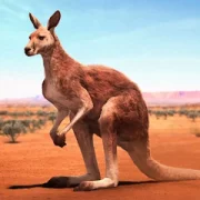 The Kangaroo Версия: 1.0.8