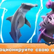 Hungry Shark Evolution: акула Версия: 10.5.0 (10162)
