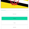 Country Flags Версия: 1.0.0 (11)