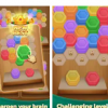 Wood Hexa Puzzle Версия: 0.1.1 (1)