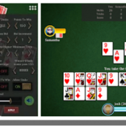 Cutthroat Pinochle Версия: 5.1.3 (70)