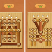 Wood Screw Puzzle Версия: 2.12 (108)